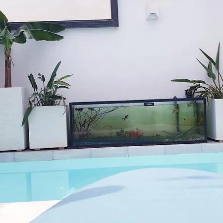 Marysol B Con Terraza Y Piscina Privada Дом отдыха Бенальмадена